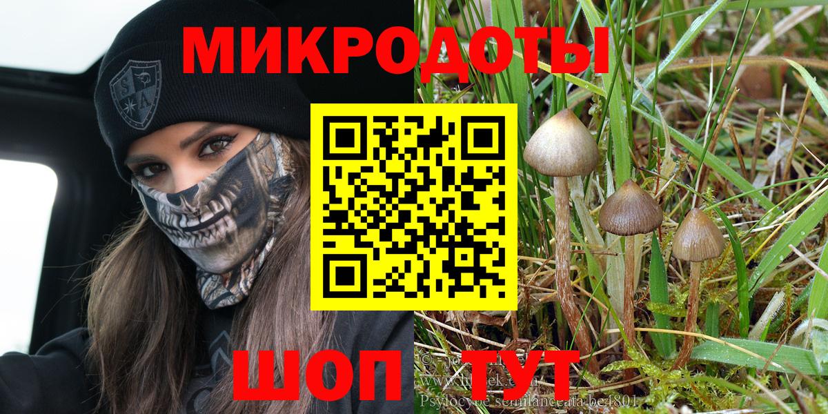 Галлюциногенные грибы ЛСД  Псилоцибиновые грибы Magic Shrooms  Прокопьевск  Вход с VPN 